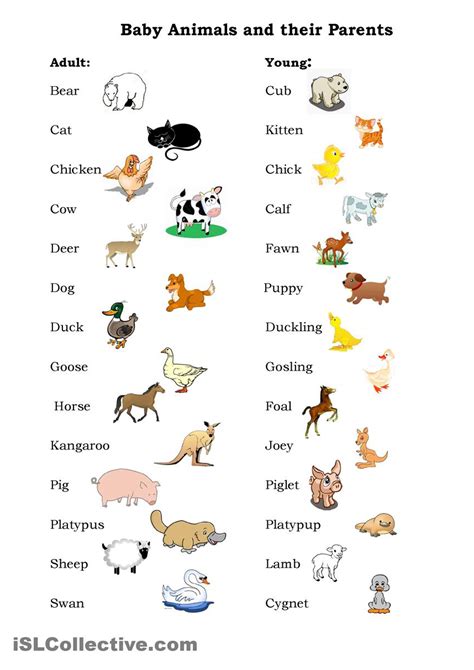 Baby Animals And Their Parents Matching Game