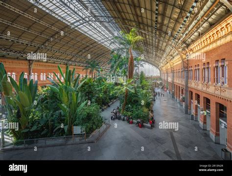 Interior of Atocha Station with tropical garden - Madrid, Spain Stock ...