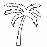 Palm Branch Coloring Page  Home sketch template