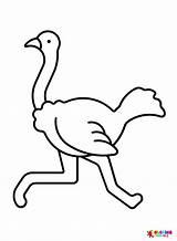 50  Ostrich Coloring Pages Free Printable PDF JPG PNG & Online sketch template