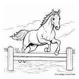Horse Jumping Coloring Pages  Free & Printable sketch template