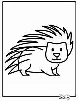 Porcupine Coloring Pages Drawing Clipart Easy Drawings Colouring  sketch template