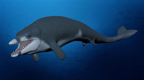 Ancient 8-foot whale was exceptionally small | Popular Science