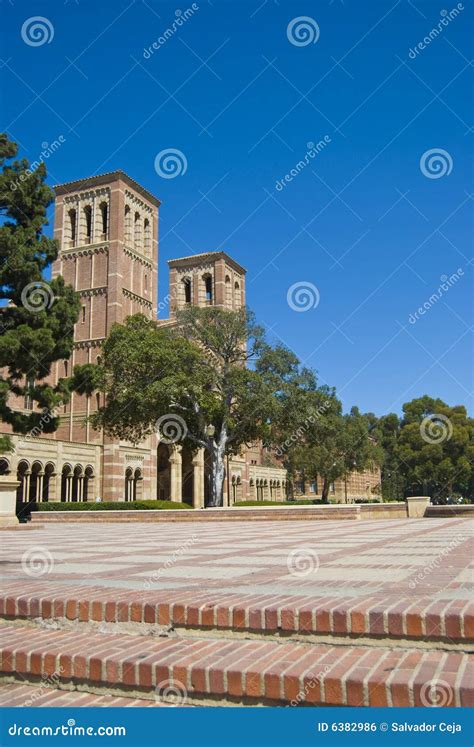 California University Campus Editorial Photo - Image of student, trees ...