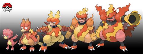 240 - 467 Magmar Line by InProgressPokemon on DeviantArt