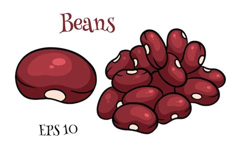 Premium Vector | Beans set. fresh red beans. in a cartoon style. vector ...