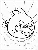 26 Angry Birds Coloring Pages Free PDF Printables  Bird coloring sketch template