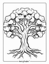 Printable Tree Coloring Pages 2025 sketch template