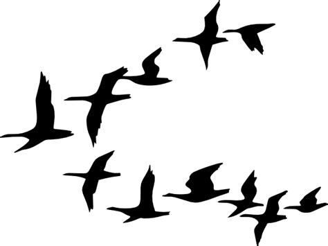 Free Animal Migration Cliparts, Download Free Animal Migration Cliparts png images, Free ...