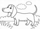 Dachshund Coloring Page  Free Printable Pages sketch template