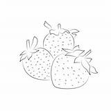Strawberry Fruit Coloring Page For Kids  Free Printable sketch template