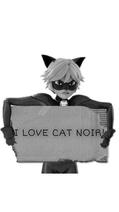 CAT NOIR