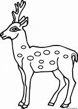 Simple Spotted Deer Coloring Page Printable sketch template