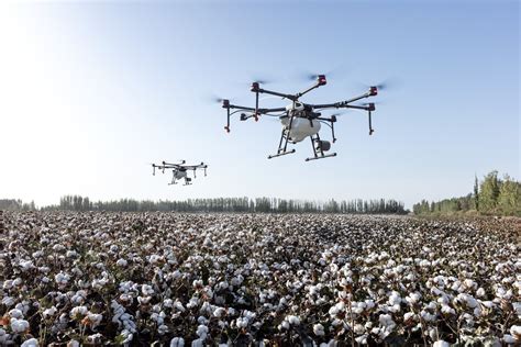 How AI Is Modernizing Chinese Agriculture | Synced