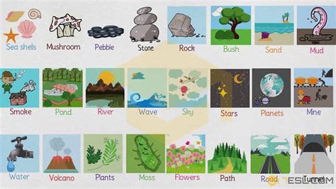 Nature Words: Useful Nature Vocabulary in English • 7ESL | Nature words ...