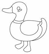 Ausmalbilder Enten  Malvorlagen Kostenlos Zum Ausdrucken sketch template