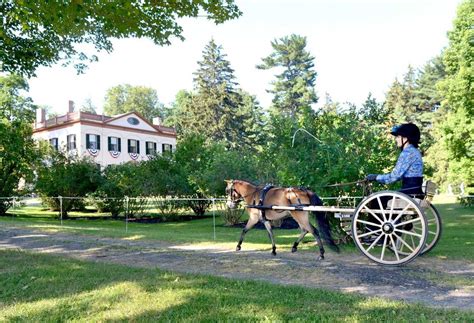 Carriage-driving competition draws crowd to Lorenzo - syracuse.com