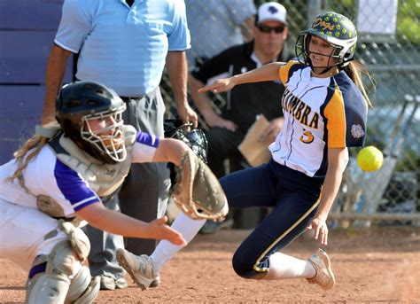 High school softball: Area players of the year