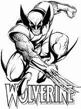Wolverine Coloring At Saspreparatoryblog Blog sketch template
