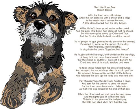 Poem for Sunday - The Little Dogs Day - Pet Samaritans