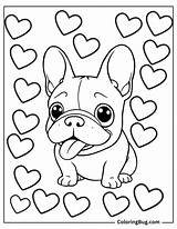 30 French Bulldog Coloring Pages Free Printable PDFs sketch template