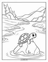 120  Coloriages De tortues Pour Enfants Et Adultes PDF Gratuits à sketch template