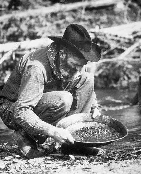 Gold panning - Stock Image - V250/0014 - Science Photo Library