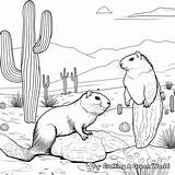 Gopher Coloring Pages  Free & Printable sketch template