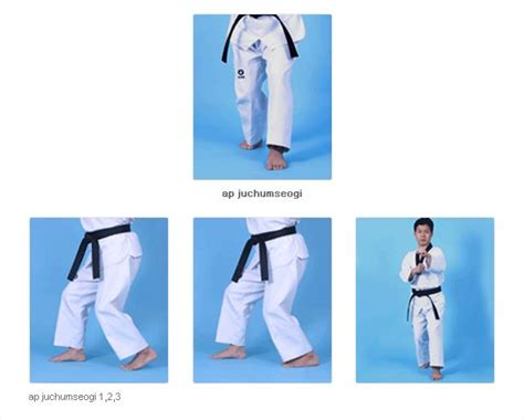 Taekwondo Stances | Taekwondo, Taekwondo training, Stance