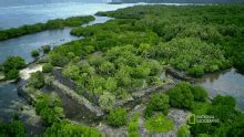 Forest National Geographic GIF - Forest National Geographic Ancient City Of Nan Madol - Discover ...