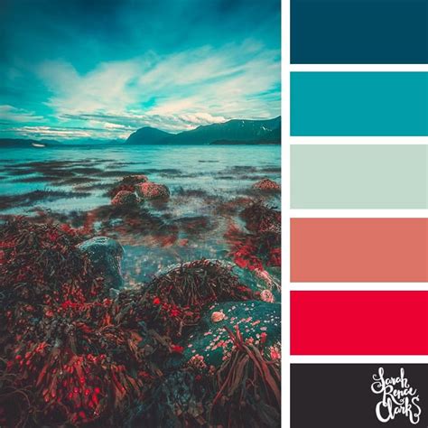 25 Color Palettes Inspired by Ocean Life and PANTONE Living Coral