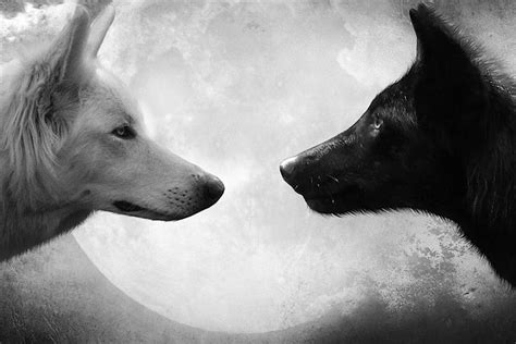 The Story of Two Wolves: A Tale About Handling Inner Conflict Mindfully