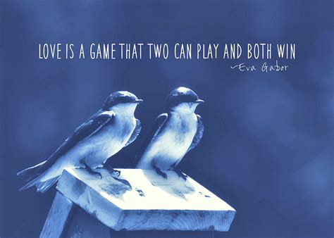 BLUE BIRDS quotes Photograph by JAMART Photography - Pixels