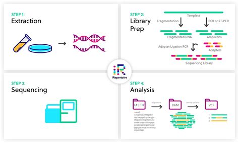 Next-generation sequencing (NGS) overview | iRepertoire, Inc.