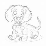 Dachshund Dog Coloring Pages  Mimi Panda sketch template
