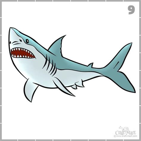 How to draw a shark in 9 easy steps | Shark drawing, Shark painting, Drawings