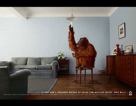 Best Environmental Ads - Powerful Environmental Ads