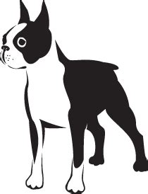 Boston Terrier Clipart: Add Some Adorable Style to Your Designs