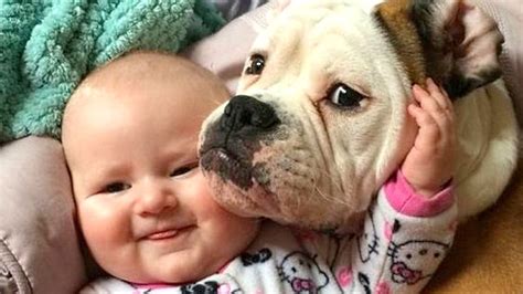 Babies Laughing at Dogs Compilation NEW - YouTube