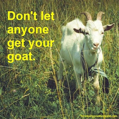 Don’t let anyone get your goat. | Let it be, Goats, Hypnotherapy