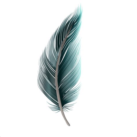 Peacock Feather Transparent Background 21809494 PNG