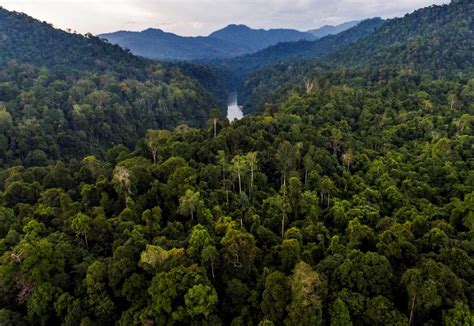 Pendakian Gunung Leuser - Touareg Adventure Services