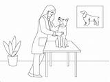 Veterinary coloring Page  ColouringPages sketch template