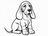 Basset Hound Coloring Joy  Page sketch template