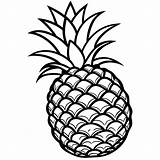 pineapple coloring Pages 54297971 Vector Art At Vecteezy sketch template