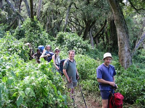 Kilimanjaro Lemosho Route - Gane & Marshall Blog