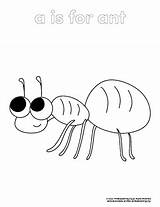 Ant Coloring Page  PrimaryLearningOrg sketch template