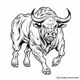 Bull Head Coloring Pages sketch template