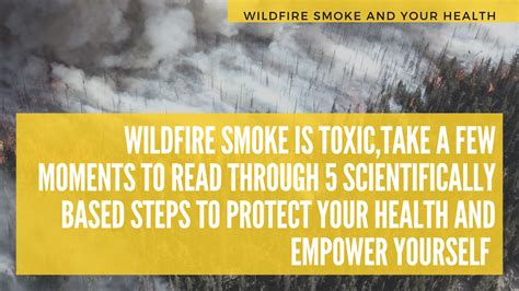How can wildfire smoke be toxic to your health? - Air Quality Information For The Tulalip Community