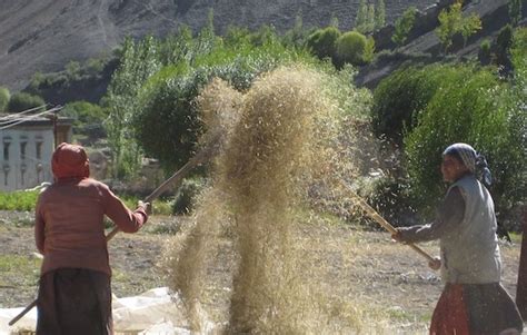 40 Years in Ladakh - Local Futures